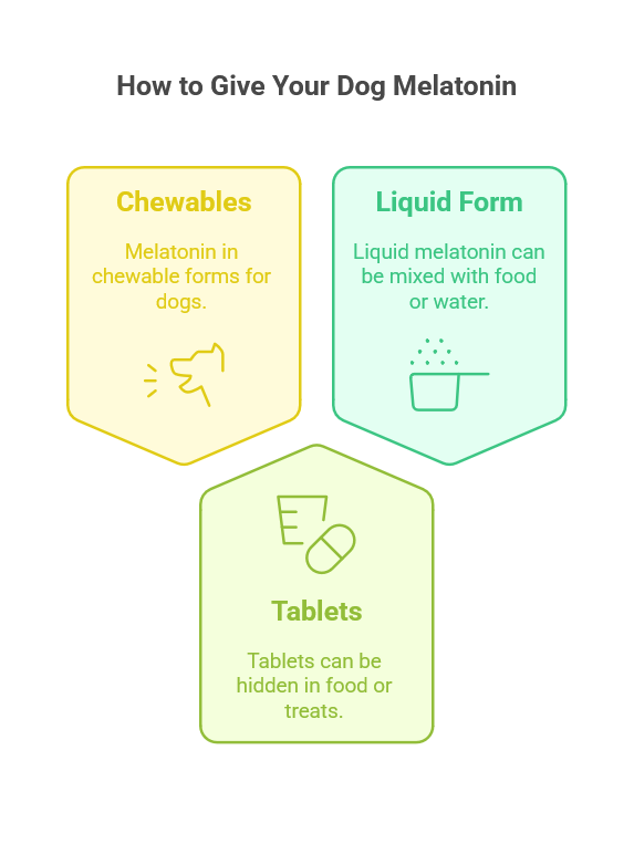 can i give my dog melatonin - diagram