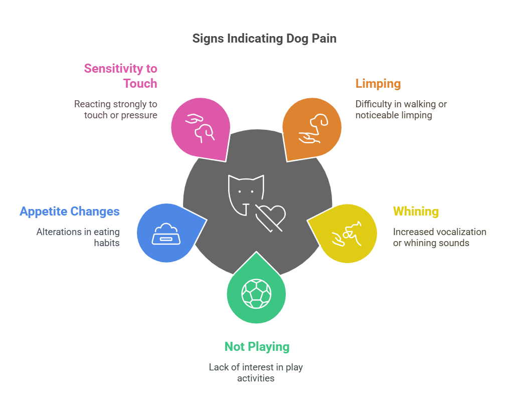 can i give my dog aspirin - diagram