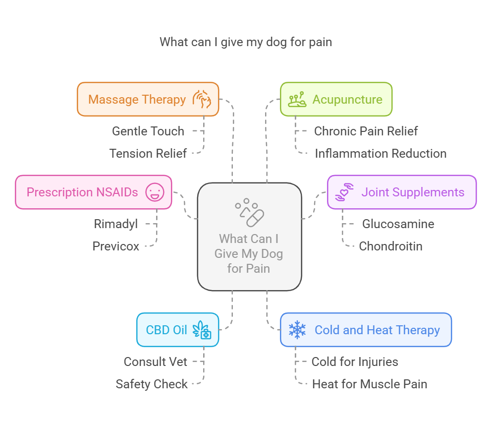 can i give my dog aspirin - diagram